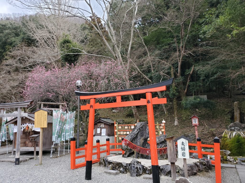 亀岡最強パワースポット 出雲大神宮と出雲大社 合同会社トラベルラボパートナーズ